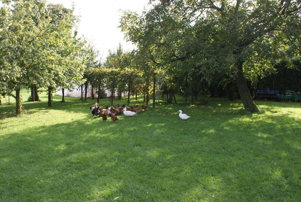 Agrogosia Otel Czajowice Dış mekan fotoğraf