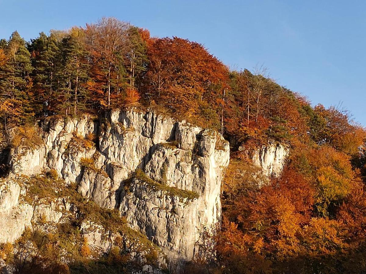 Agrogosia Otel Czajowice Dış mekan fotoğraf